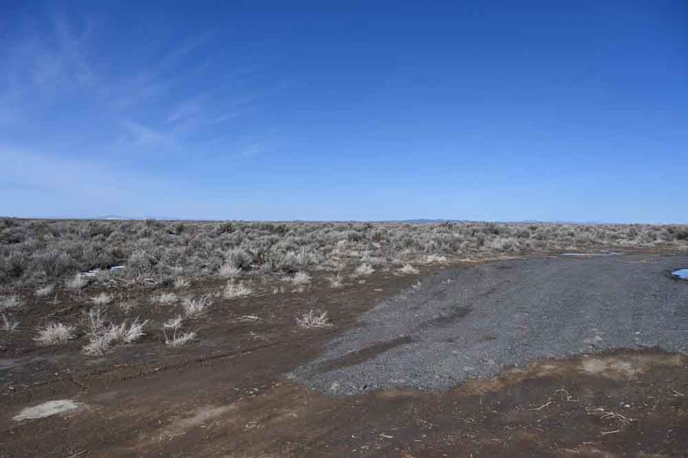 5 Acres of Oregon Freedom 4