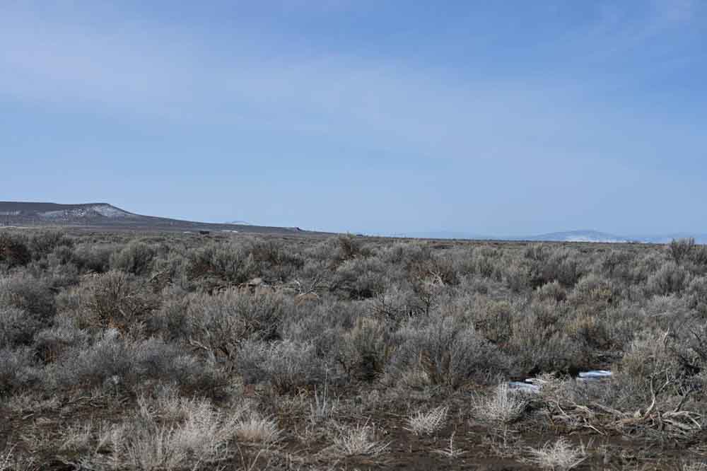 5 Acres of Oregon Freedom 5