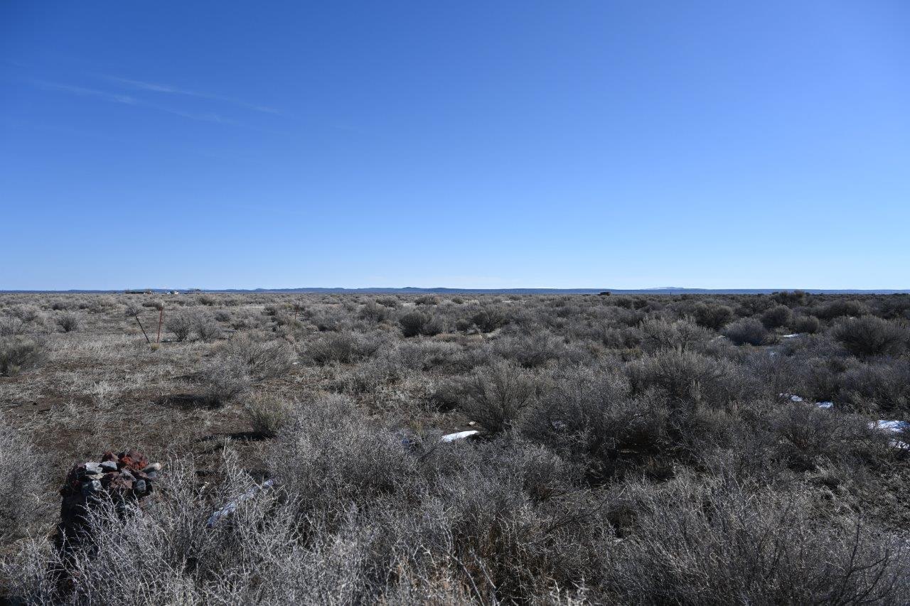 5 Acres of Oregon Freedom 6