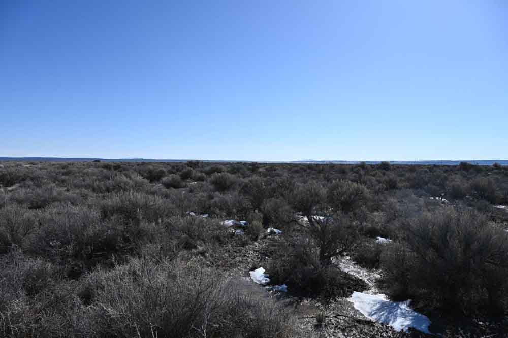 5 Acres of Oregon Freedom 7